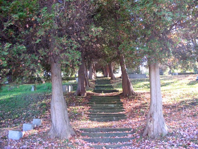 stone stairway - oak hill