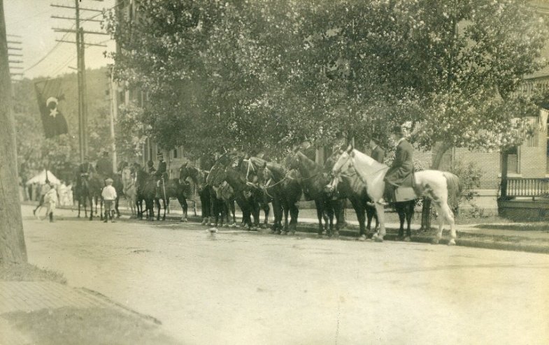 horses waiting in the shade