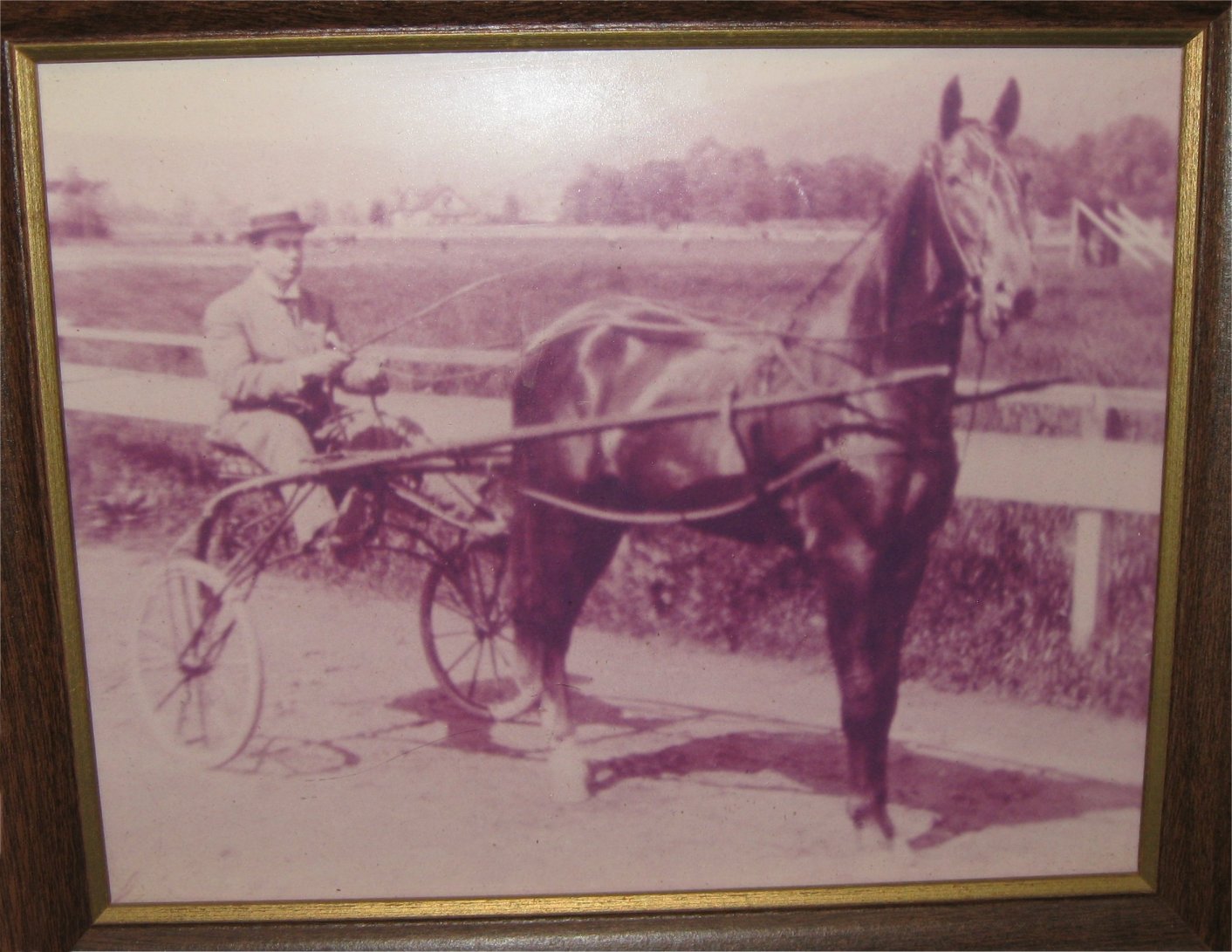 J.L. Radebaugh with his Racing Horse at Congress St Race Track