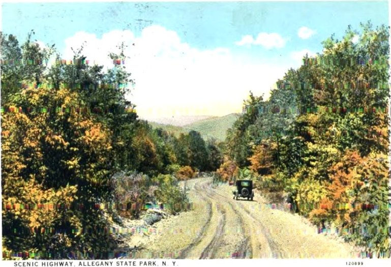 Allegany State Park -don./D. Rathfon