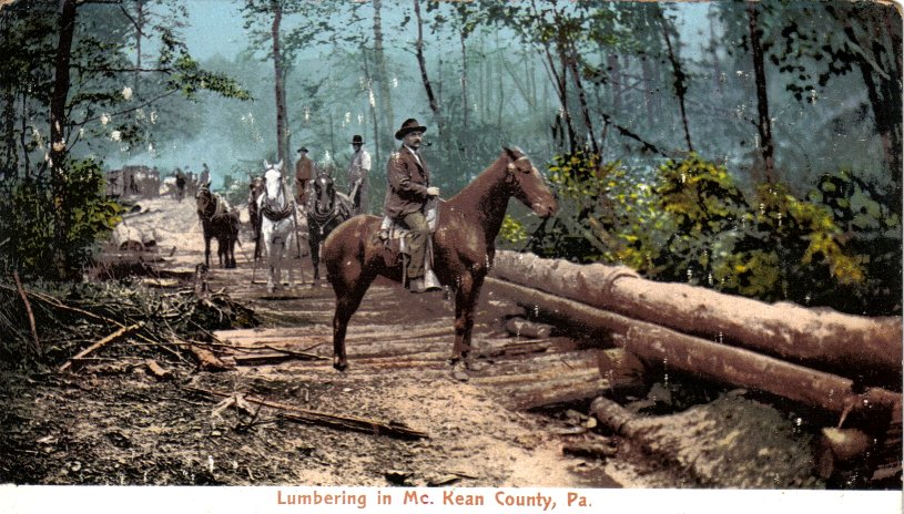 Lumbering in McKean County -don./D. Rathfon