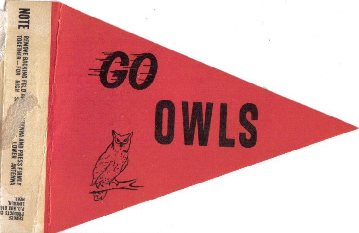 Bradford Owls Cardboard Antenna Flag -don./D. Rathfon