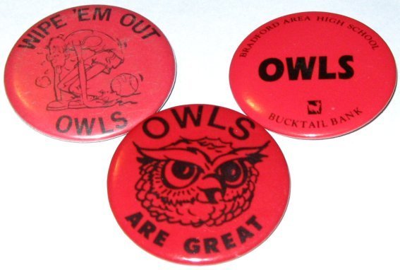 Bradford High School Owls Support Buttons