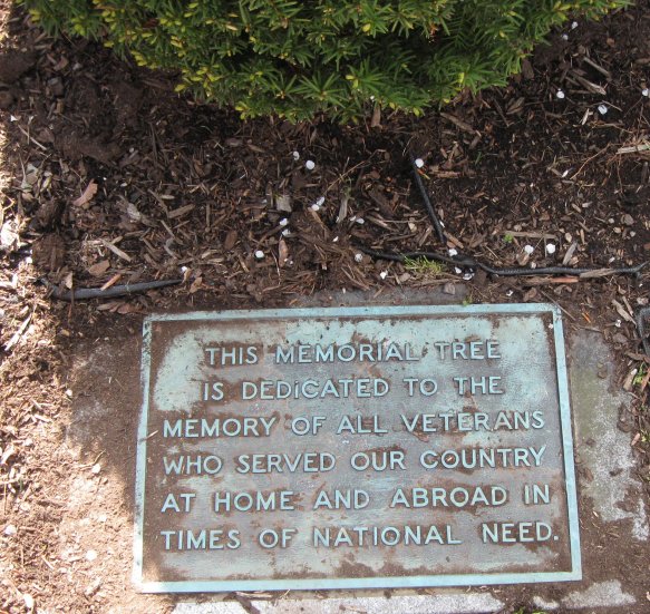 Memorial Tree Plaque