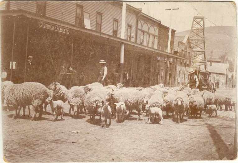 O'Donnell and Flaherty Grocery Store, Bradford - 1890s